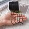 100 Yards 1.5mm Waxed Cotton Cord Macrame Bracelet Necklace Jewelry Making Waxed Beading Thread String (Black)